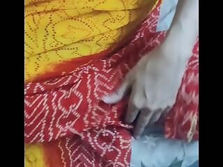 Indian Hot Sexy Sari Aunty fucked by a Young Guy